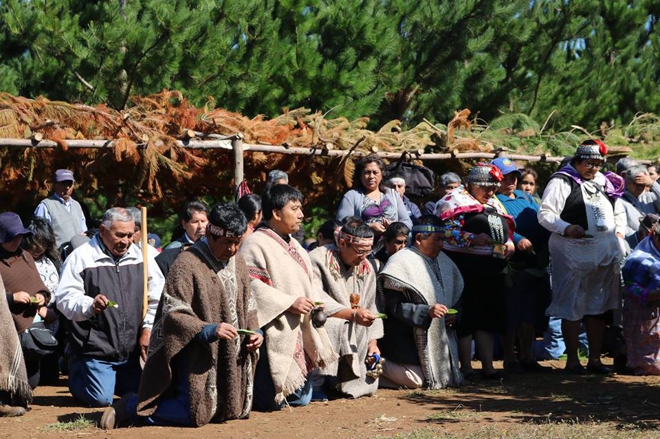 Mapuche