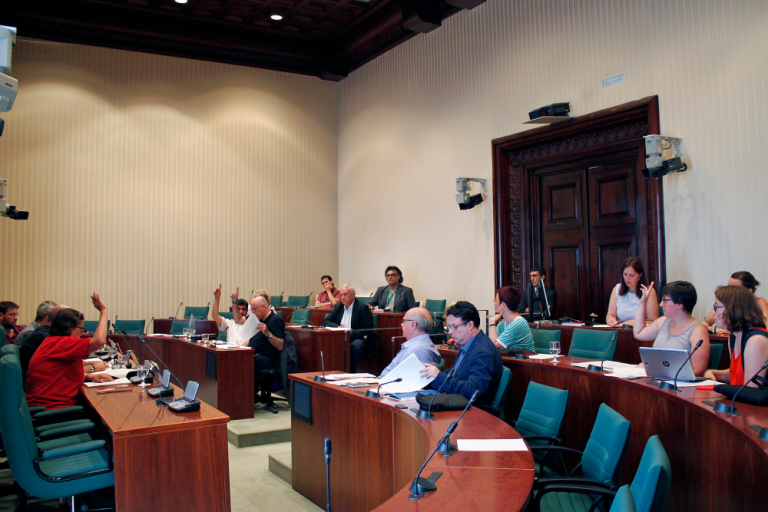 Els diputats votant les propostes de conclusions