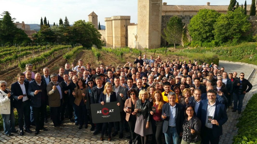 Foto dels electes que han participat de l'acte de presentació de l'AECAT al Camp de Tarragona | AMI