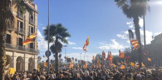 Moment de la manifestació per un govern que implementi la República | Assemblea Nacional Catalana