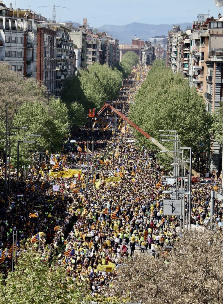 Moment de la manifestació a l'Avinguda Paral·lel | ANC