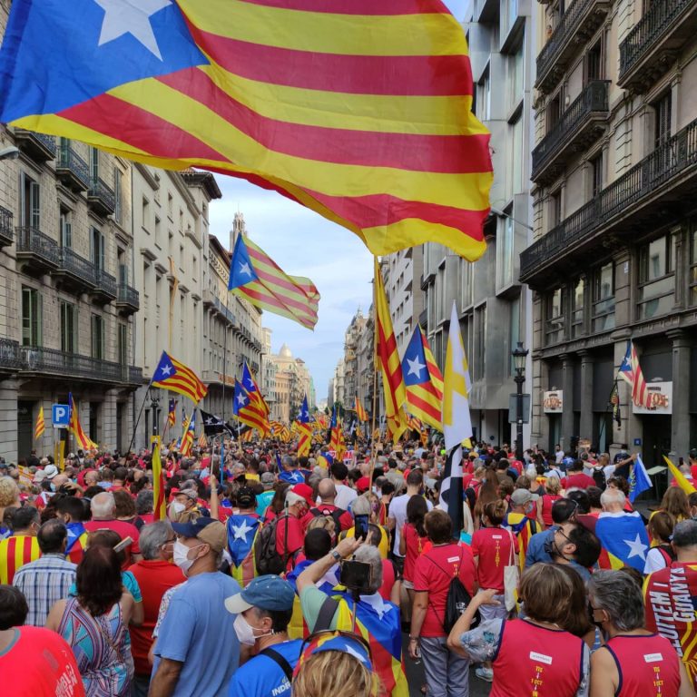 Cinc pinzellades de la Diada
