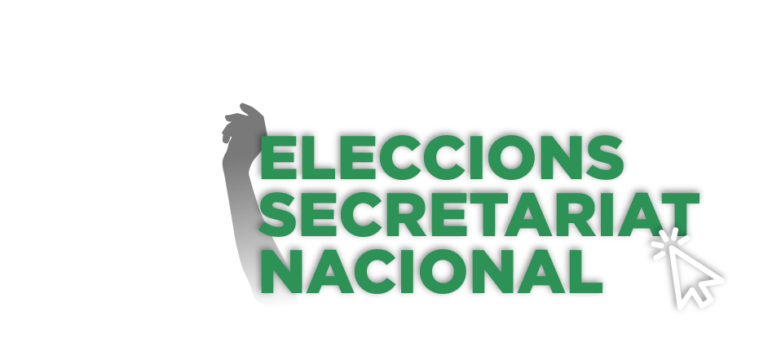 Lluís Llach i Josep Costa, els més votats a les eleccions al Secretariat Nacional de l’ANC