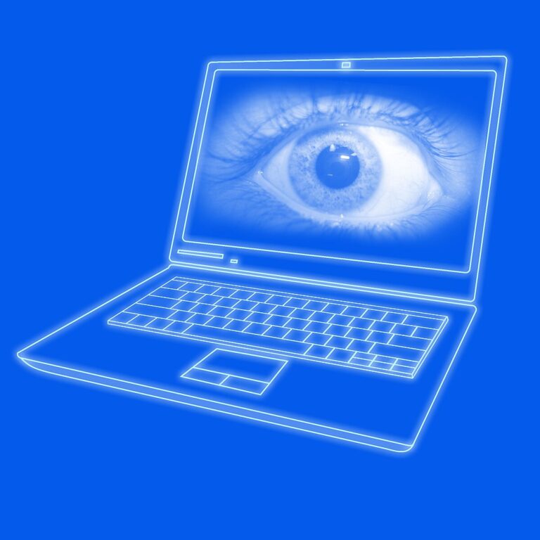 La directora del CNI declararà dilluns com a testimoni per l’espionatge amb Pegasus a exdirigents de l’ANC